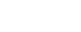 { partner.partner_image.alt }}