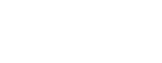 { partner.partner_image.alt }}